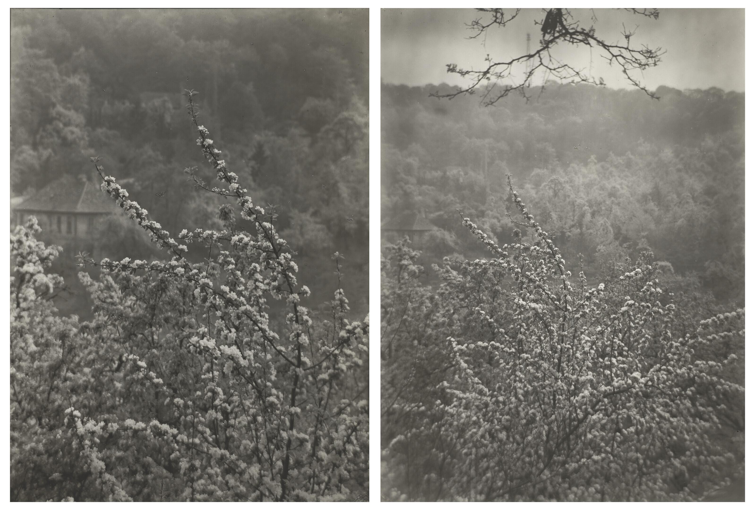 Josef Sudek - View of Spring from our street, 1973