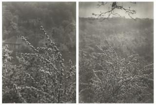 Josef Sudek - View of Spring from our street, 1973