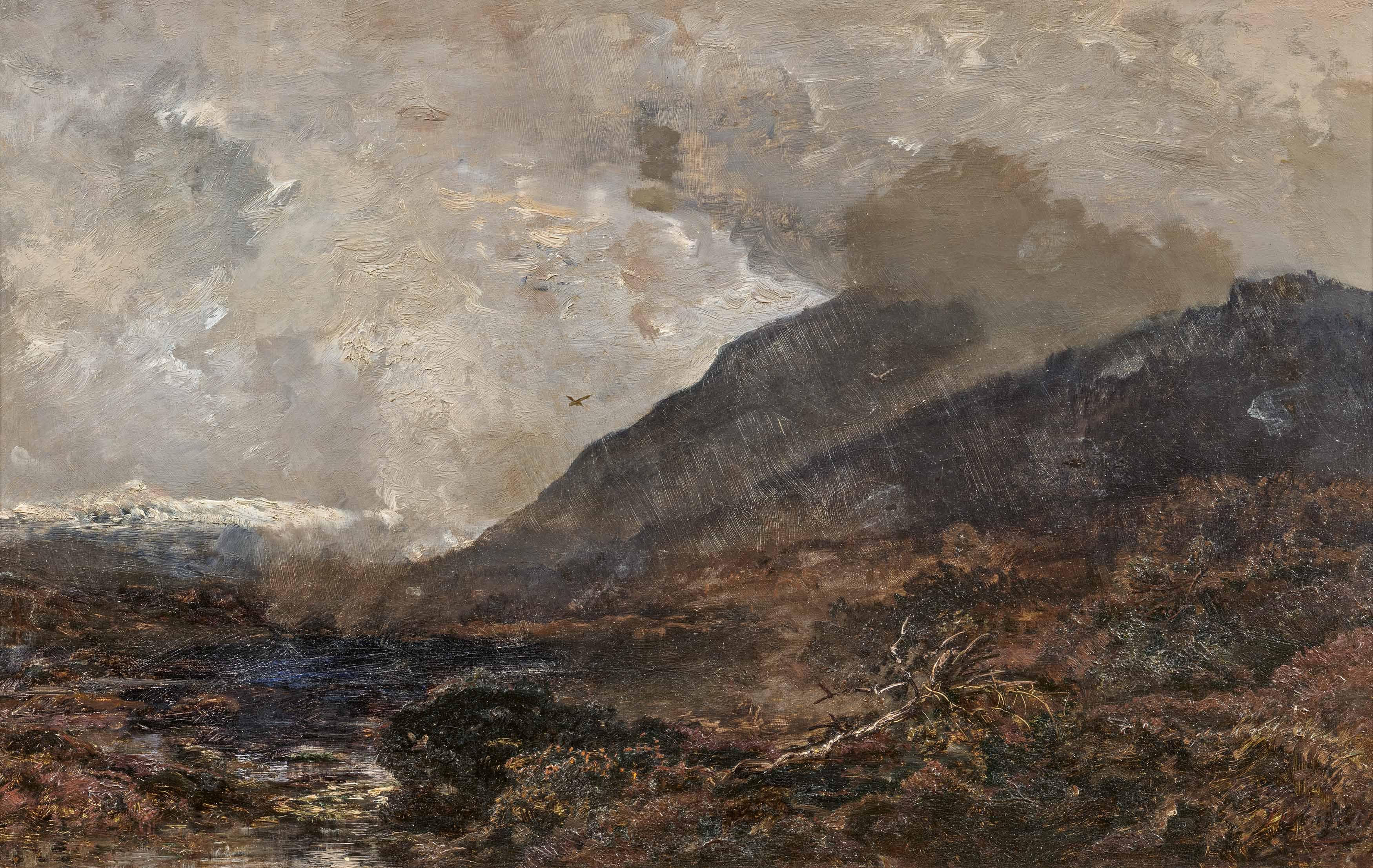 Josef Wenglein - Hochmoor in Oberbayern.