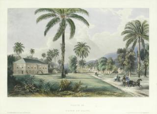 Joseph Bartholemew Kidd - Town Of Bath; Rio Bueno; Retirement Estate, St James\'s, Three Views In Jamaica Three Lithographs With Hand Colouring