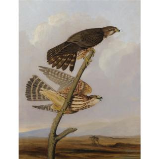 Joseph Bartholomew Kidd