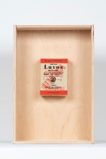 Joseph Beuys - Adolf Justs LUVOS Heilerde, 1976-1984