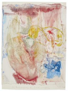 Joseph Beuys - Die Intelligenz Des Wasservogels (The Intelligence Of The Water Bird)