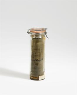 Joseph Beuys - Geruchsplastik