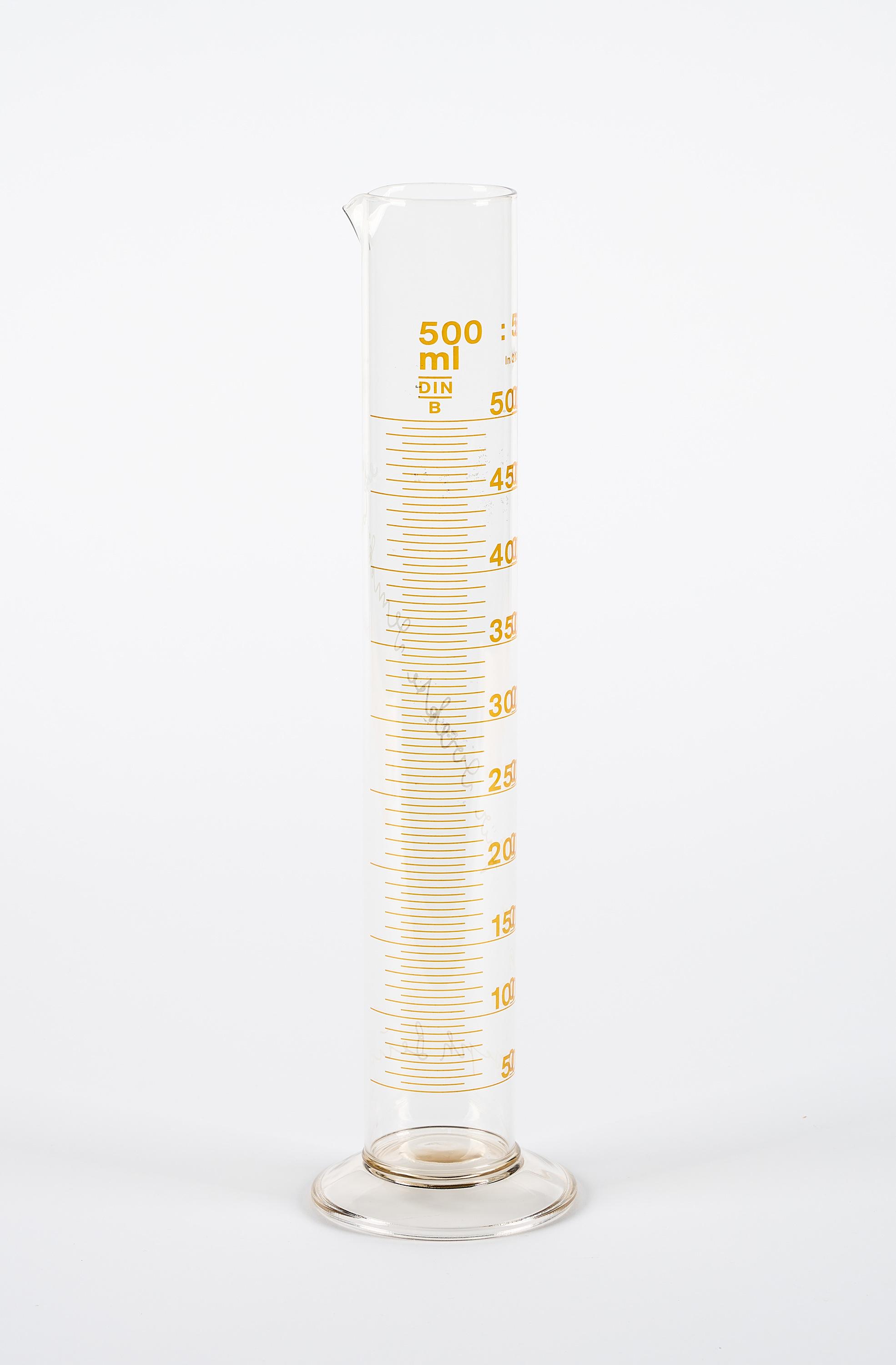 Joseph Beuys - Rose für direkte Demokratie.