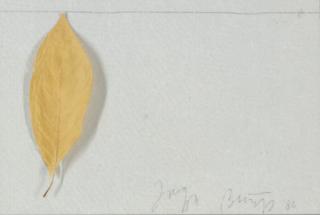 Joseph Beuys - Untitled (Leaf)