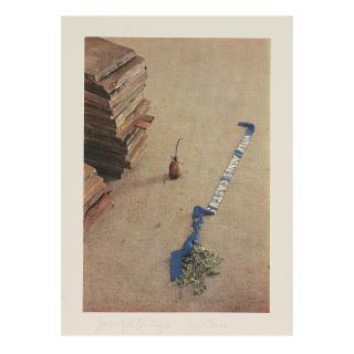 Joseph Beuys - Vitex Agnus Castus, 1973