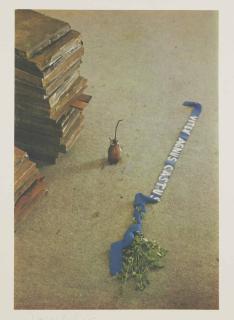 Joseph Beuys - Vitex angus Castus