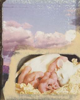 Joseph Cornell - 7 Angelic