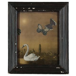 Joseph Cornell - Ce Soir La Nostalgie De La Mer