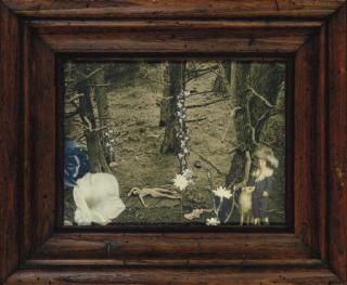 Joseph Cornell - Do Flowers Sleep at Night?