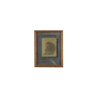 Joseph Cornell - Monkey