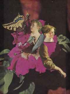 Joseph Cornell - Orpheus and Eurydice