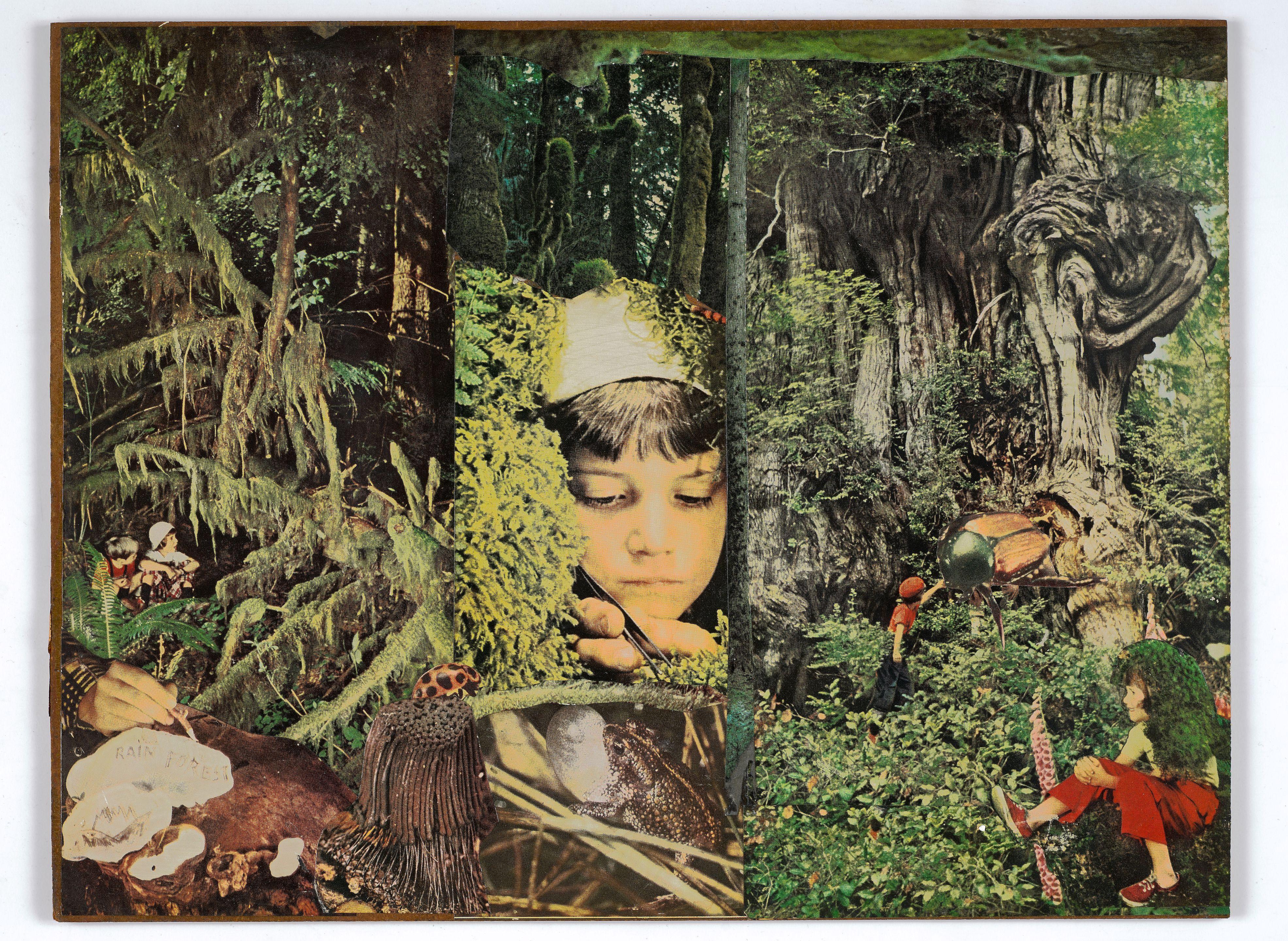 Joseph Cornell - Rainforest, circa 1959-66