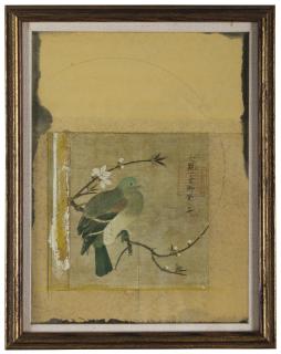 Joseph Cornell - The Grasshopper