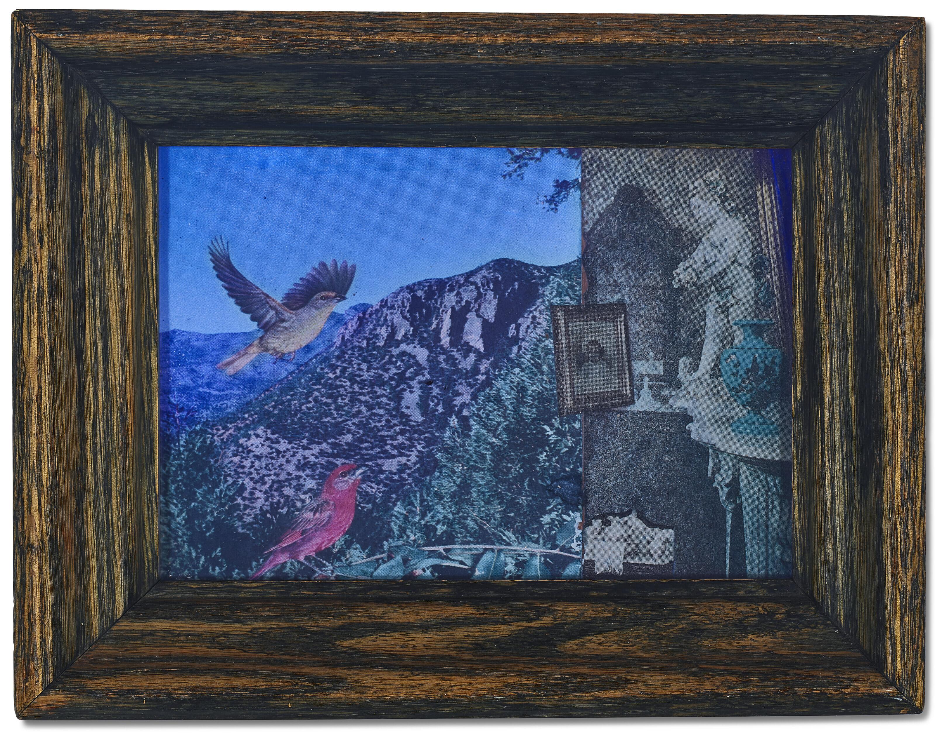 Joseph Cornell - Untitled (Requires Blue Glass)