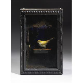 Joseph Cornell - Untitled (Yellow Bird Habitat)