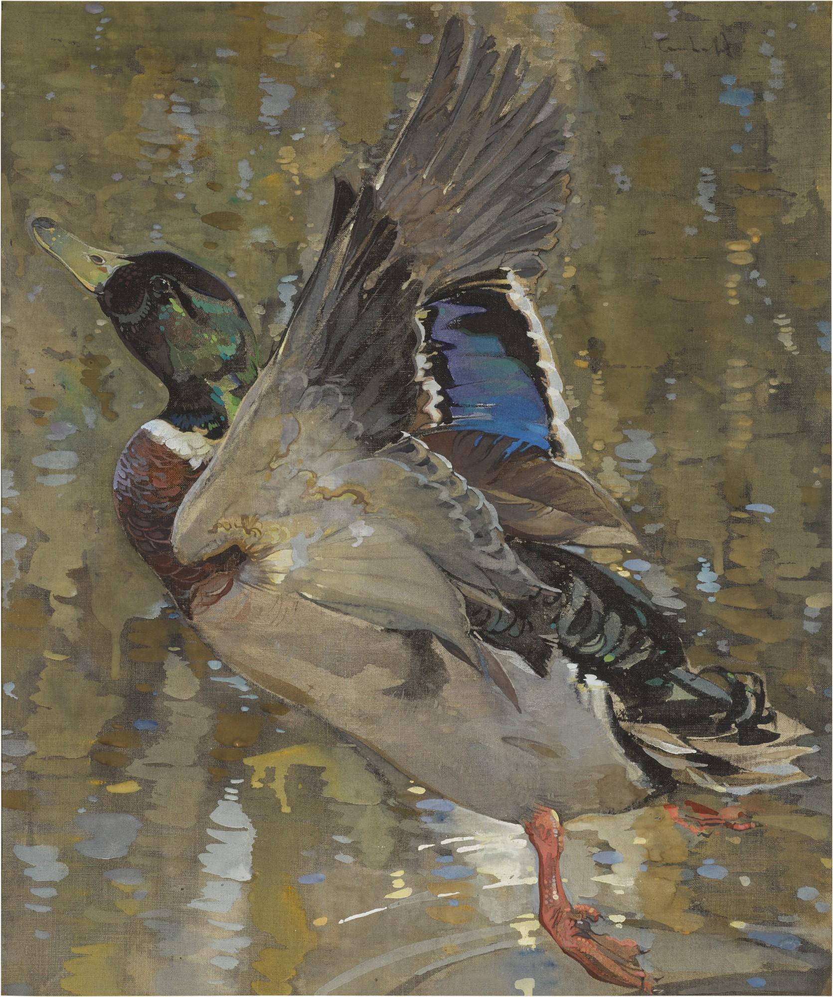 Joseph Crawhall, R.S.W. - A Mallard Rising