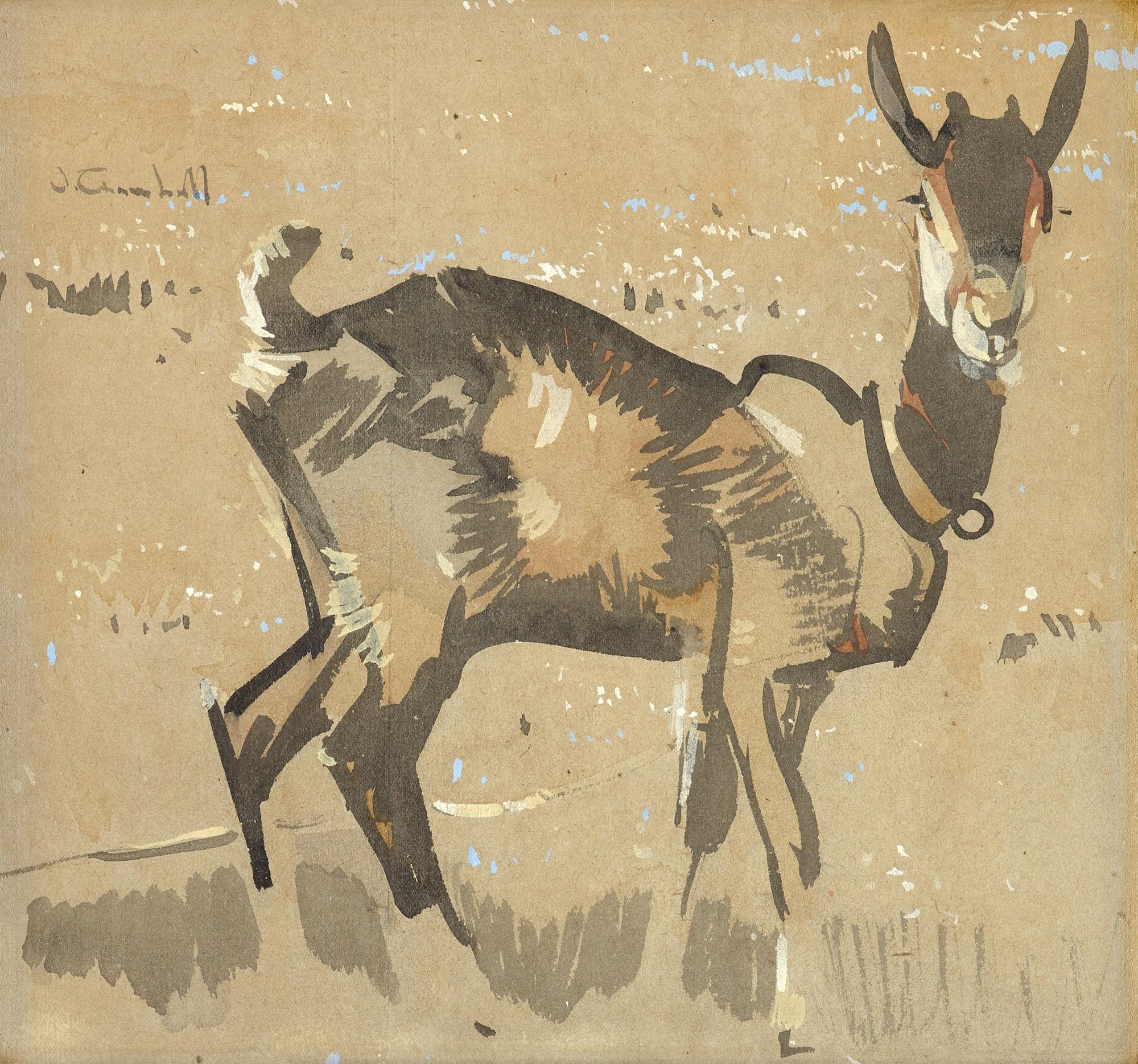 Joseph Crawhall, R.S.W. - Study of a Goat