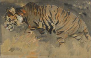 Joseph Crawhall, R.S.W. - The Tiger