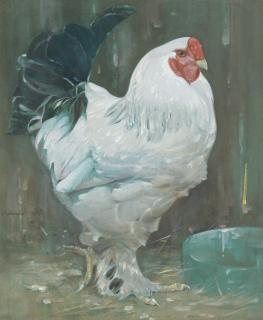 Joseph Crawhall RSW - White cock