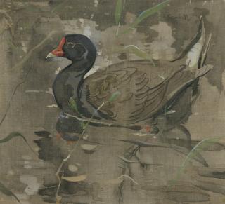 Joseph Crawhall - The Moorhen