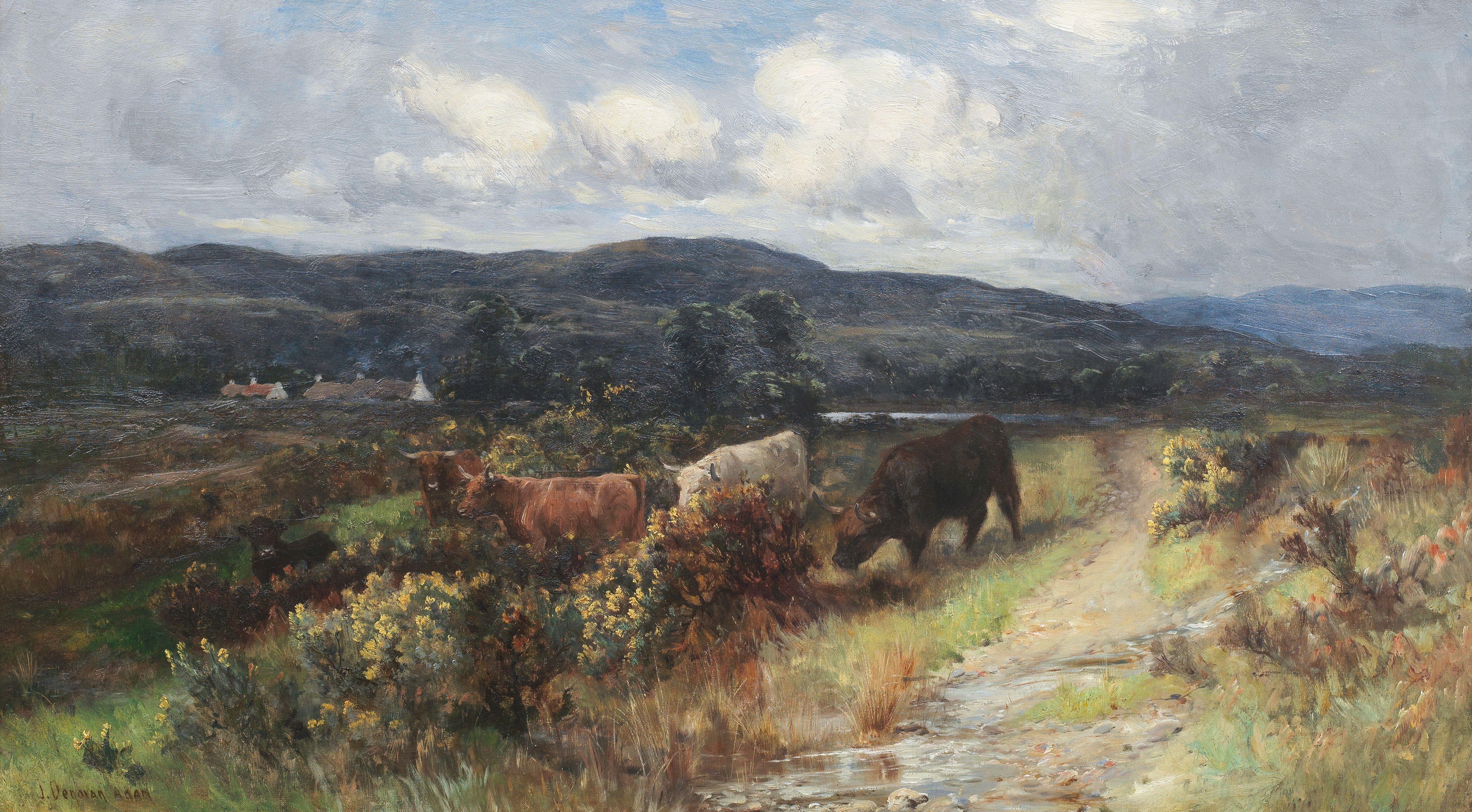 Joseph Denovan Adam, Jr. - Cattle amongst the gorse