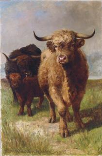Joseph Denovan Adam, R.S.A. - Highland Cattle
