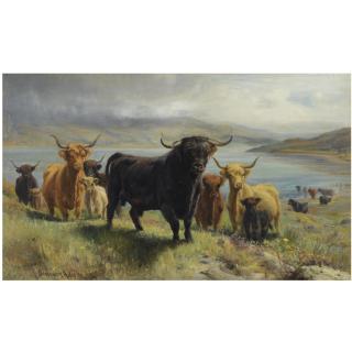 Joseph Denovan Adam - Highland Cattle