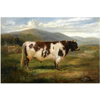 Joseph Denovan Adam - President, An Ayrshire Bull
