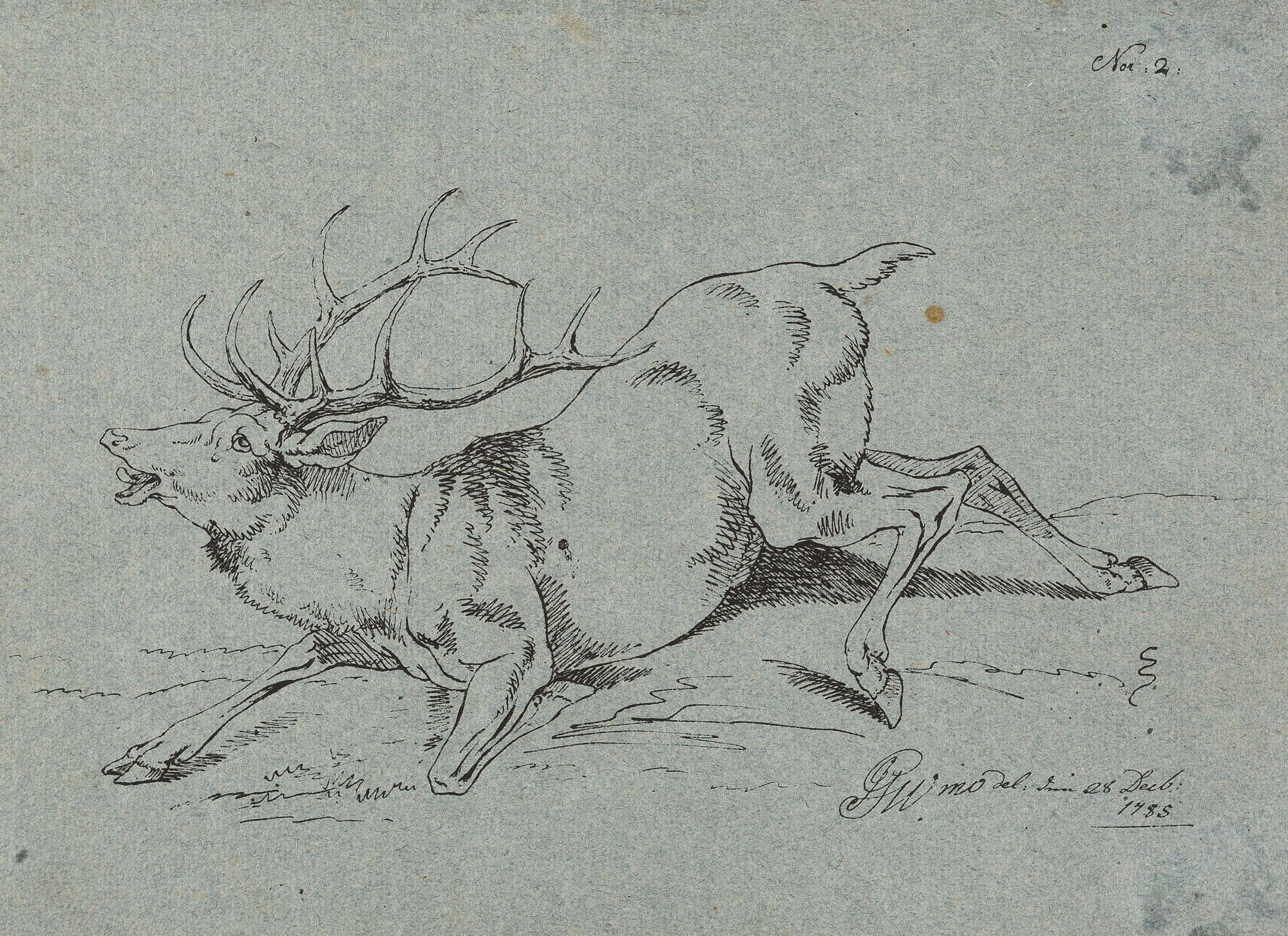 Joseph Georg Winter - 2 Bll.: Stürzender Hirsch – Hunde fallen einen Stier an.