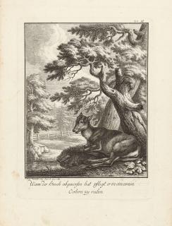 Joseph Georg Winter - Folge von 12 Bll.: Das Aufsetzen oder Wachstum des Hirschgeweihs.