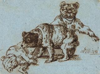 Joseph Georg Winter - Spielende Bären.
