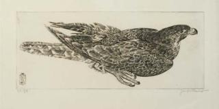 Joseph Hecht - Rapace