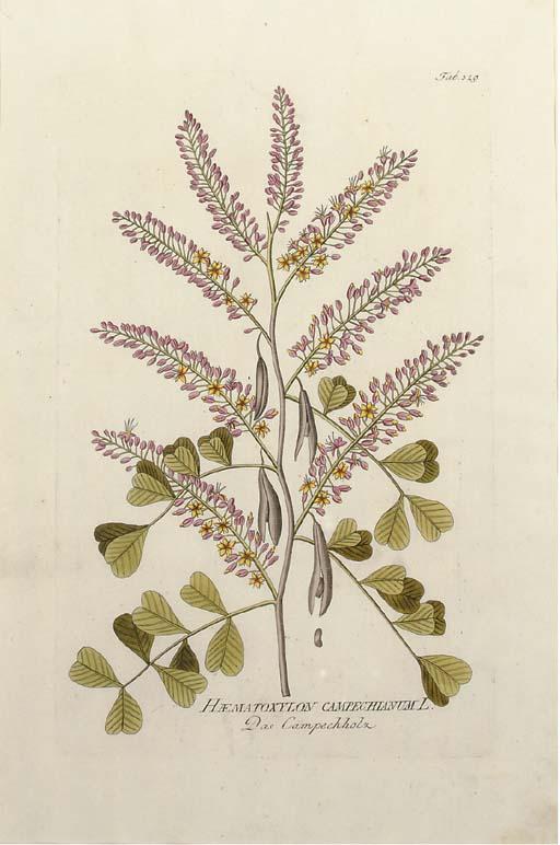 Joseph Jacob Von Plenck - Icones plantarum medicinalium: Eight Plates