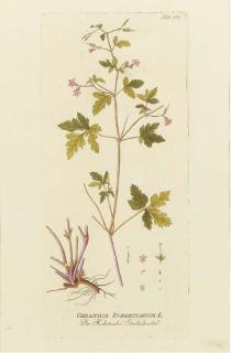 Joseph Jakob von Plenck - Icones Plantarum Medicinalium: Eight Plates