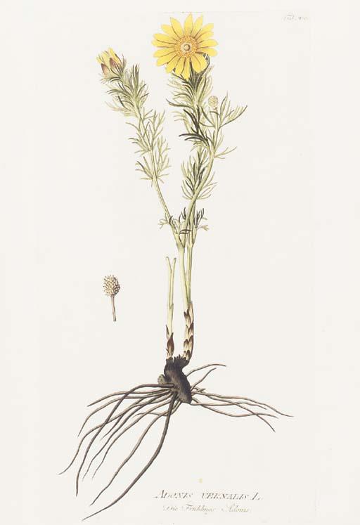 Joseph Jakob von Plenck - Icones Plantarum Medicinalium: Eight Plates