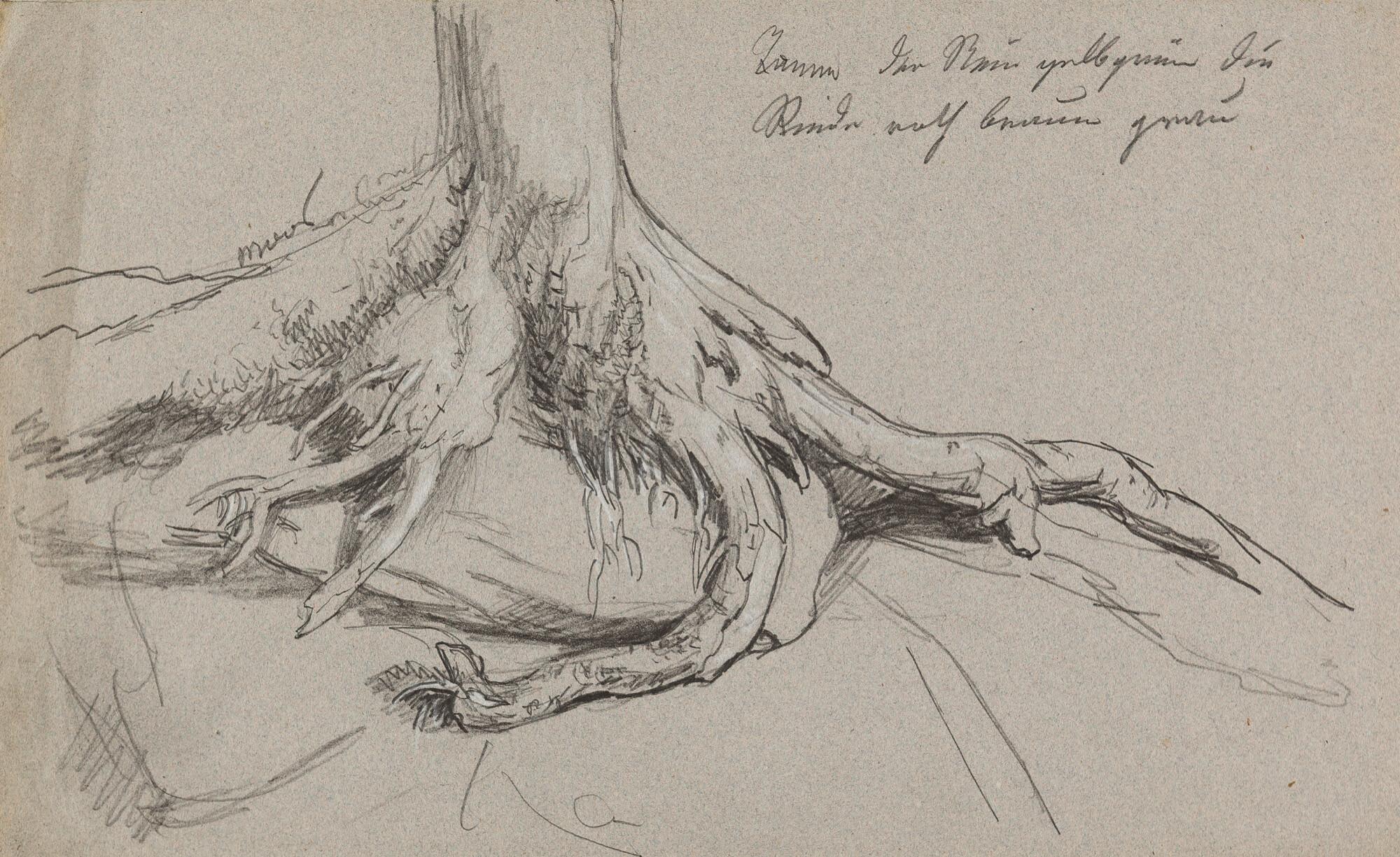 Joseph Karl Stieler - Studie: Wurzel einer Tanne.