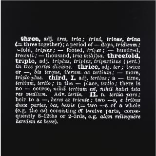Joseph Kosuth - Art As Idea As Idea, Three