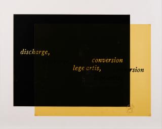 Joseph Kosuth - Discharge - conversion, lege artis.