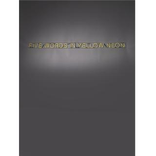 Joseph Kosuth - Five Words In Yellow Neon