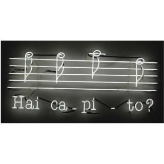 Joseph Kosuth - Frammenti Di Rossini (Ospiti E Stranieri)