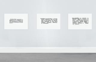 Joseph Kosuth - One And Three Translations