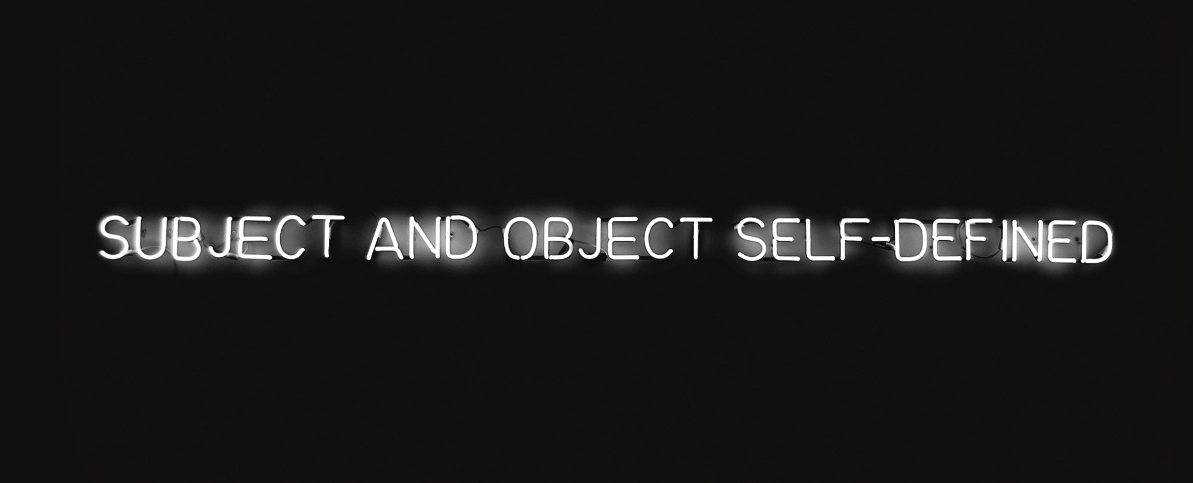Joseph Kosuth - Subject And Object Self-Defined