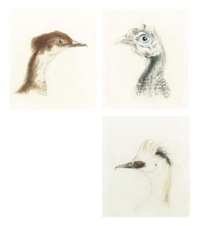 Joseph Mallord William Turner, R.A. - Three head studies of birds: A Guinea Fowl; A Smew; and A Red-breasted Merganser