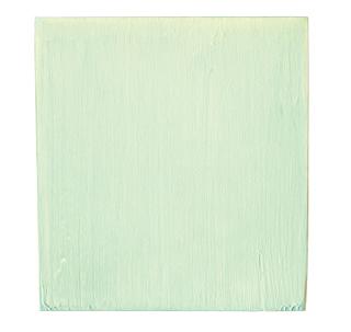 Joseph Marioni - White Painting