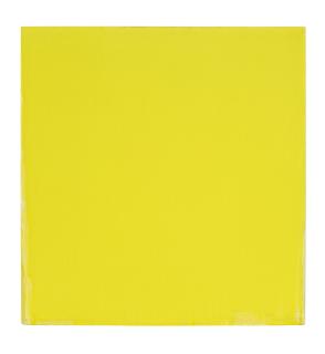 Joseph Marioni - Yellow