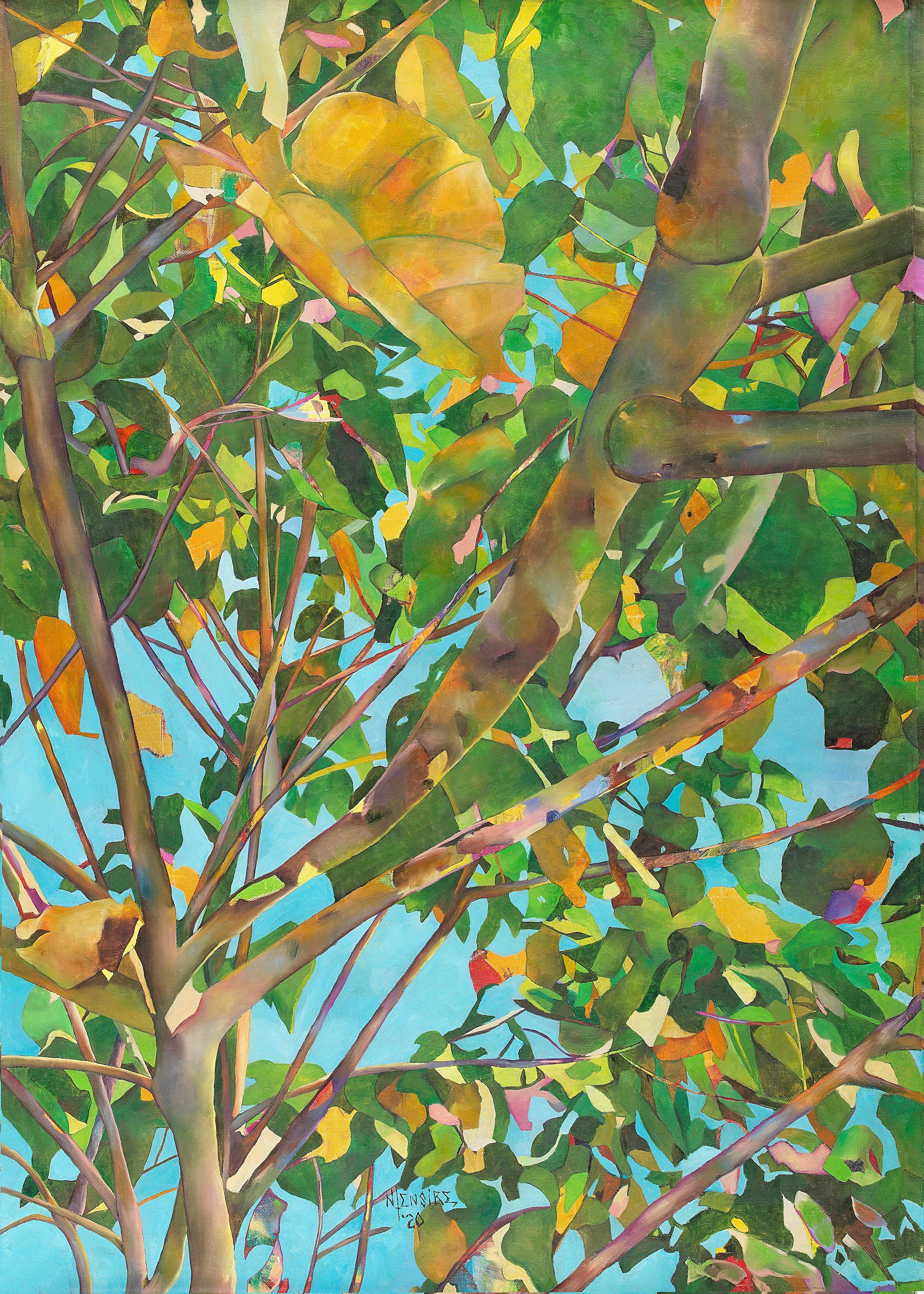 Joseph Ntensibe - Tropical Forest