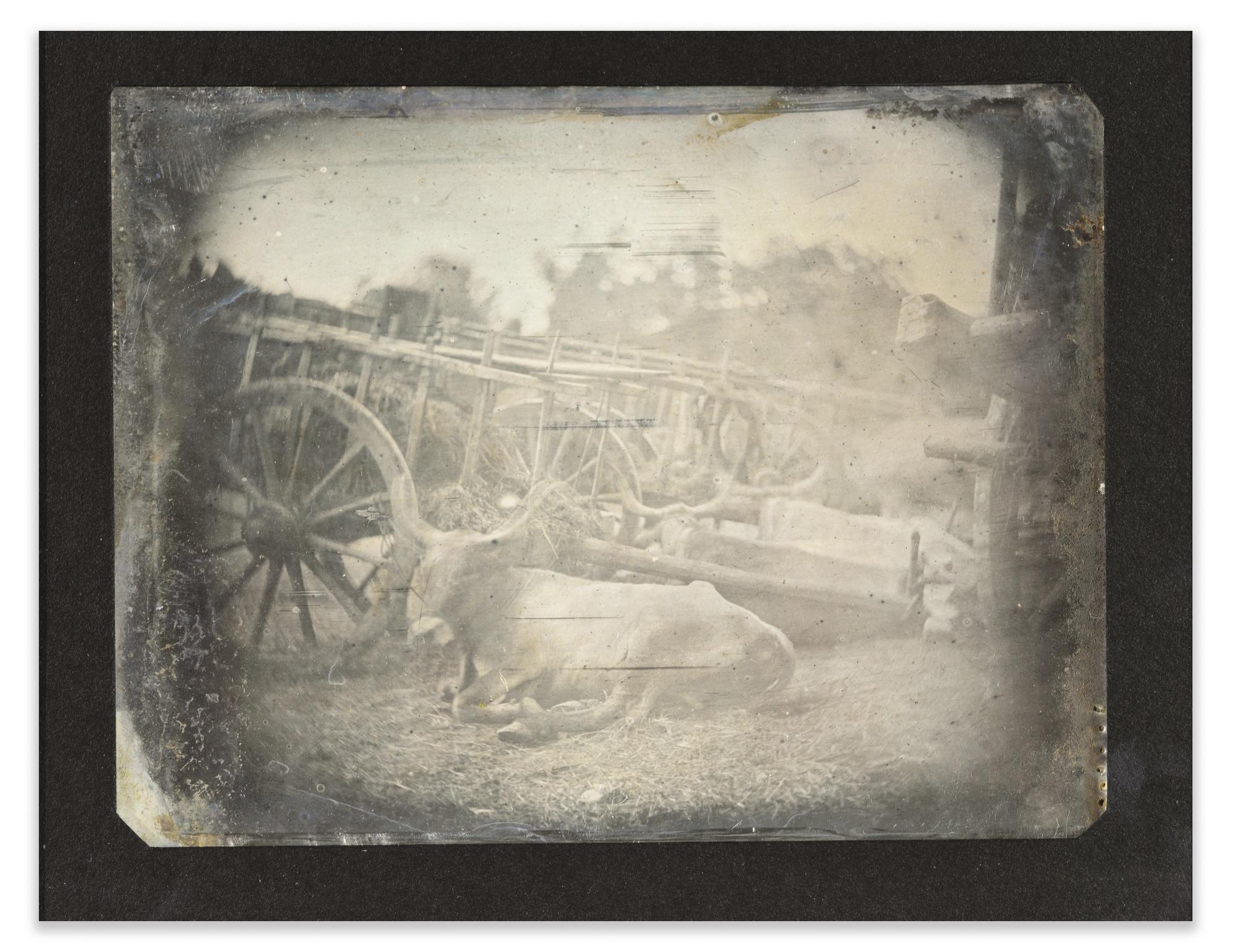 Joseph Philibert Girault De Prangey - 45. Rome; Forum, Boeufs, 1842