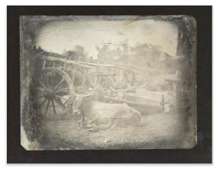 Joseph Philibert Girault De Prangey - 45. Rome; Forum, Boeufs, 1842